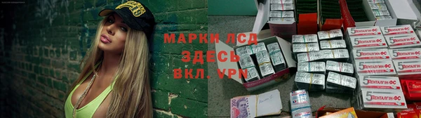 СК Арсеньев