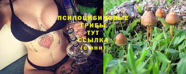 MDMA Premium VHQ Армянск