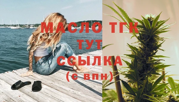 твердый Аркадак