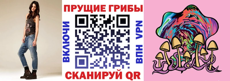 Псилоцибиновые грибы Psilocybine cubensis  Заозёрск 